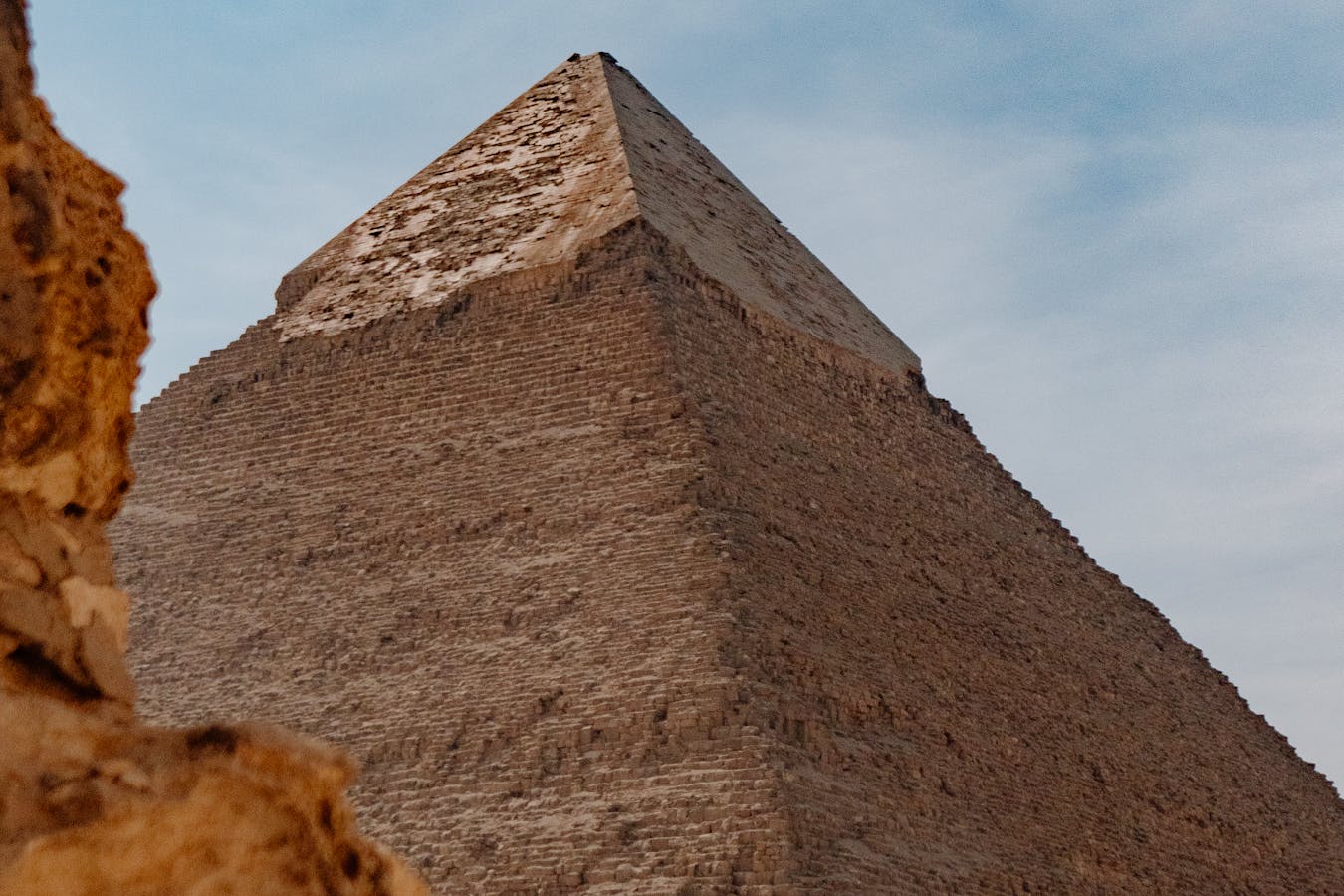 pexels-photo-33021026